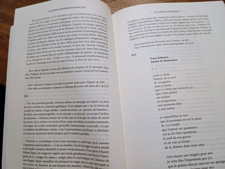 Romain Noel “La grande conspiration affective” (La Librairie du XXIe siècle, Seuil)