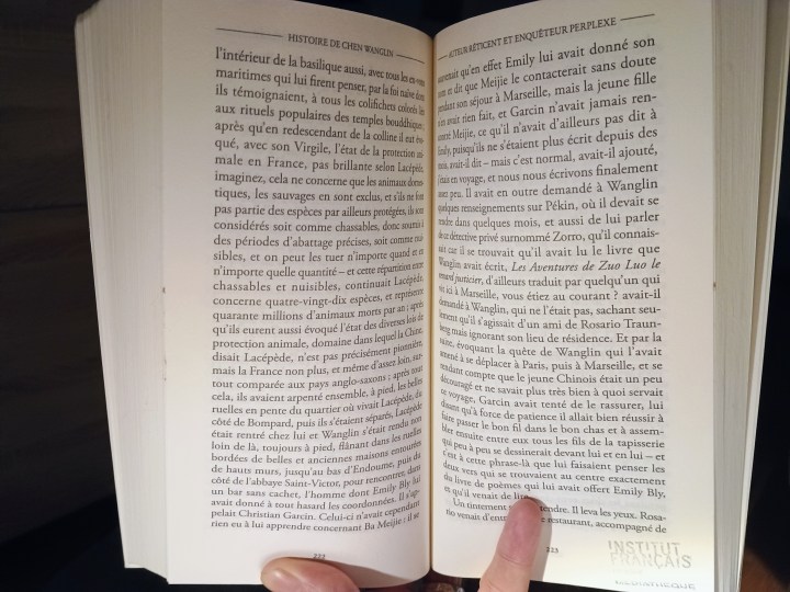 Christian Garcin “Le bon, la brute et le renard” (Actes Sud)
