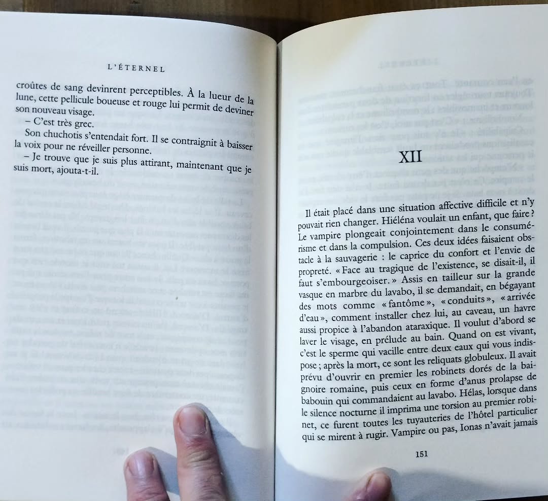 La double qui s'embourgeoise face au tragique de l'existence Joann Sfar - "L'éternel"