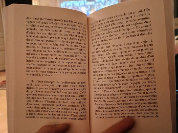 Céline Minard “Plasmas” (Rivages)