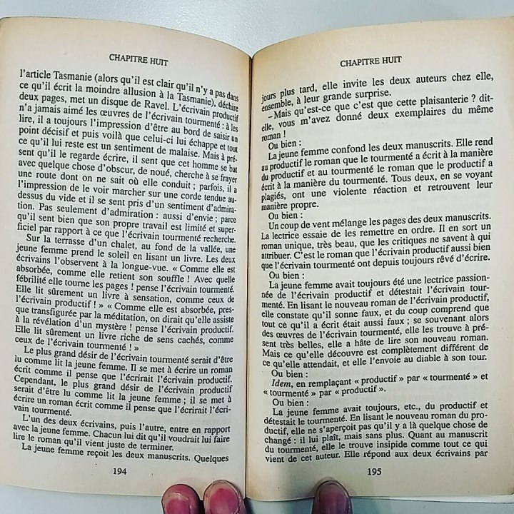 Italo Calvino “Si par une nuit d'hiver un voyageur” (Gallimard)